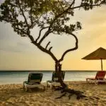 Na de vakantie nu écht het roer om?