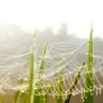 Vergeet niet te netwerken